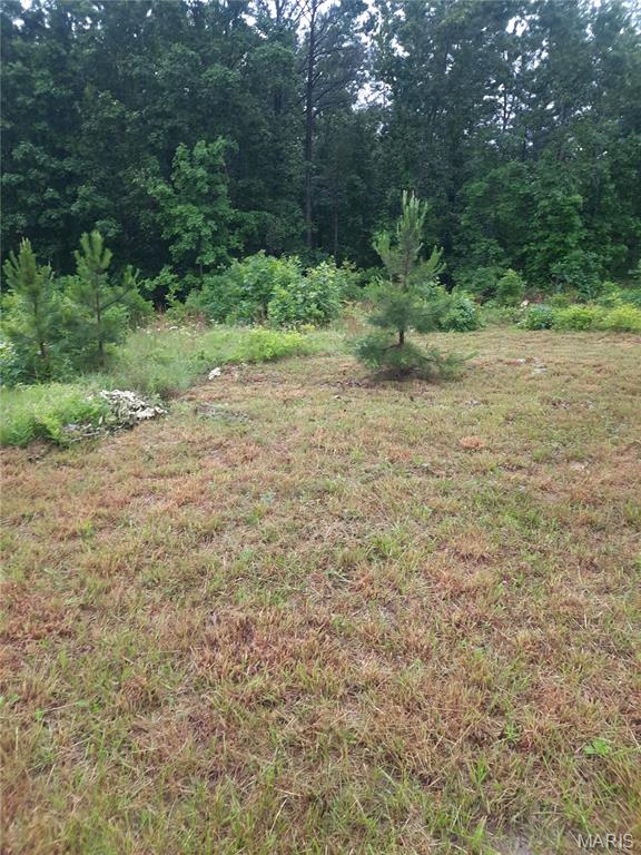 Farm/Ranch/Land for sale – 652  Highway Ww   Salem, MO