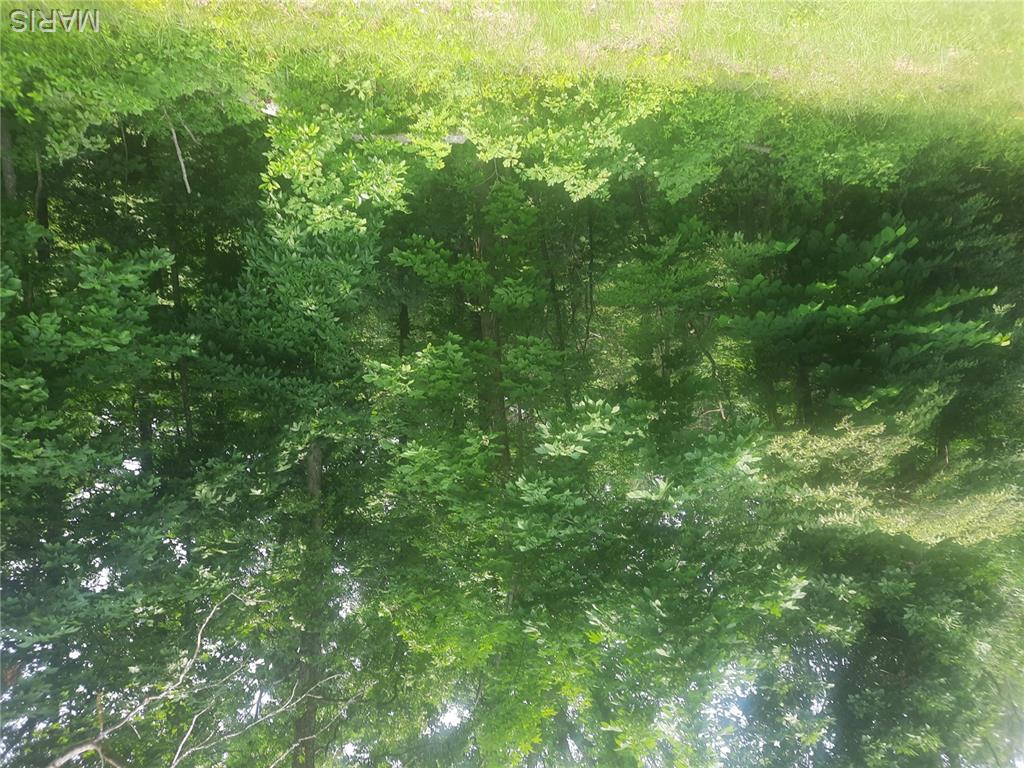 Farm/Ranch/Land for sale – tbd  tbd   Van Buren, MO