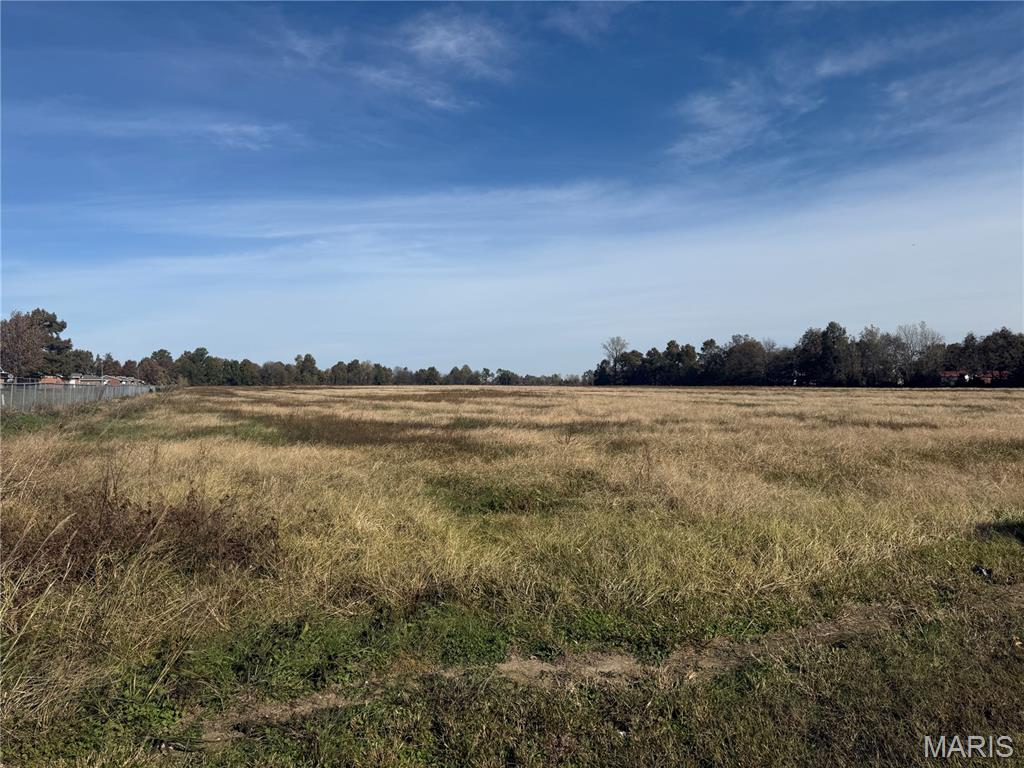Farm/Ranch/Land for sale – 0 W Washington Hayti, MO