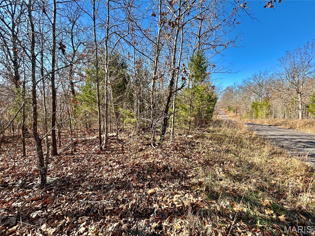 Farm/Ranch/Land for sale – Lots 12-17  County Road 4253   Salem, MO