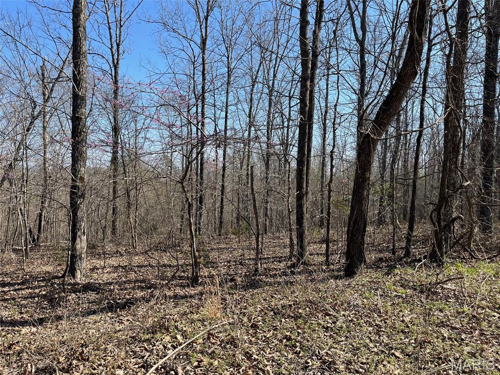 Listing 590658