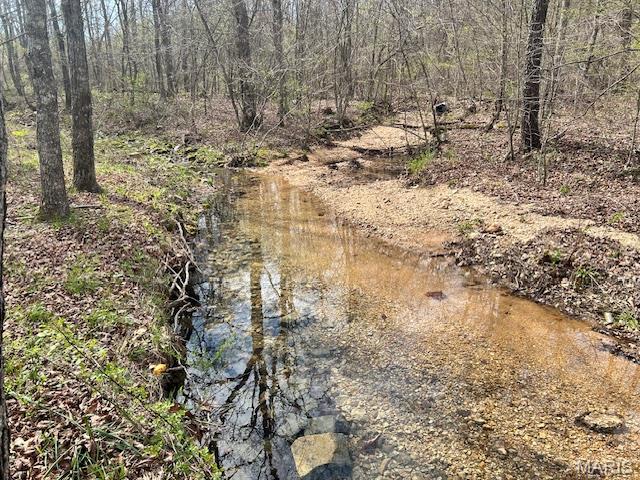 Farm/Ranch/Land for sale – 413 Kelley Road Annapolis, MO