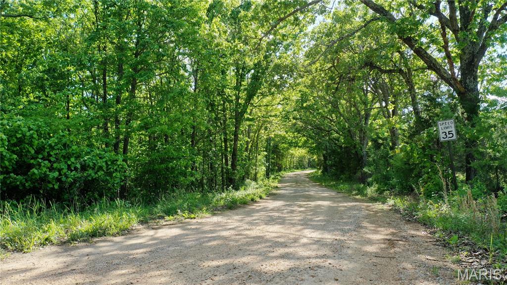 Farm/Ranch/Land for sale – Tract 3 County Rd 4215 Salem, MO