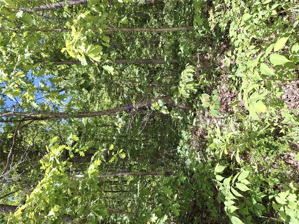 Farm/Ranch/Land for sale – 0 County Road 924 Bunker, MO