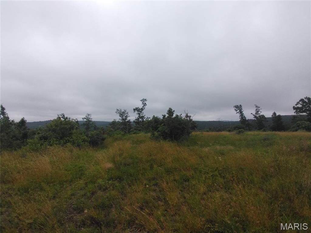 Farm/Ranch/Land for sale – 10 Tract 10 Off Hwy O Belleview, MO