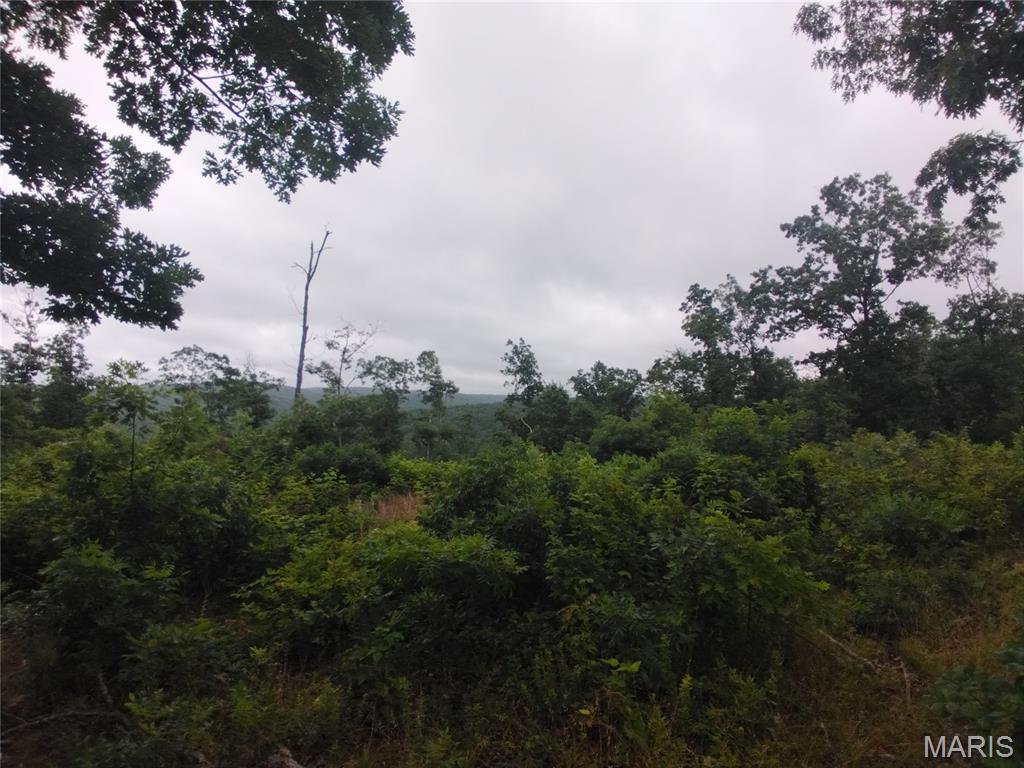 Farm/Ranch/Land for sale – 12 Tract 12 Belleview, MO