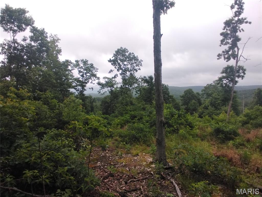 Farm/Ranch/Land for sale – 5  Tract 5 Off Hwy O   Belleview, MO