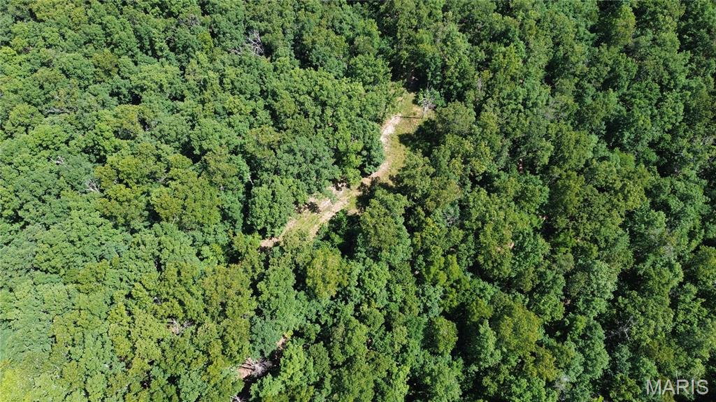 Farm/Ranch/Land for sale – TBD  TBD   Salem, MO