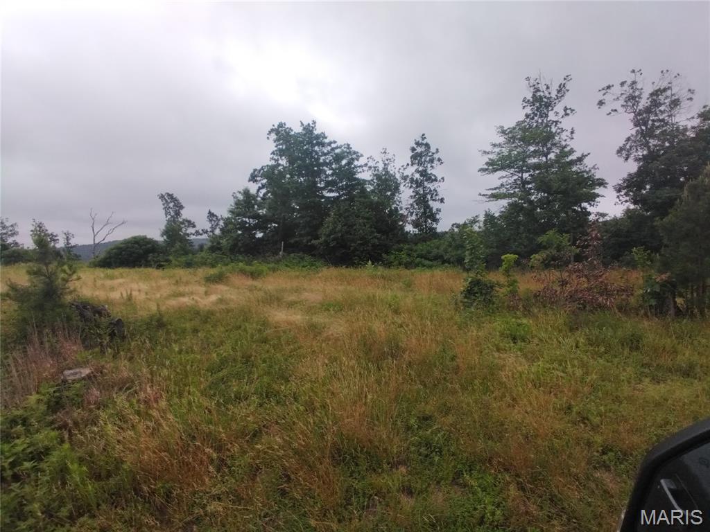 Farm/Ranch/Land for sale – Tract 4 Off Highway O Belleview, MO