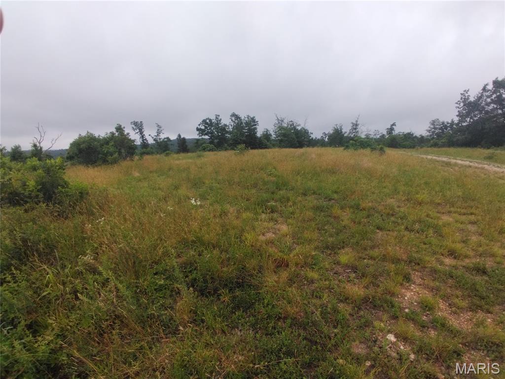 Farm/Ranch/Land for sale – 3  Tract 3 Off Highway O   Belleview, MO