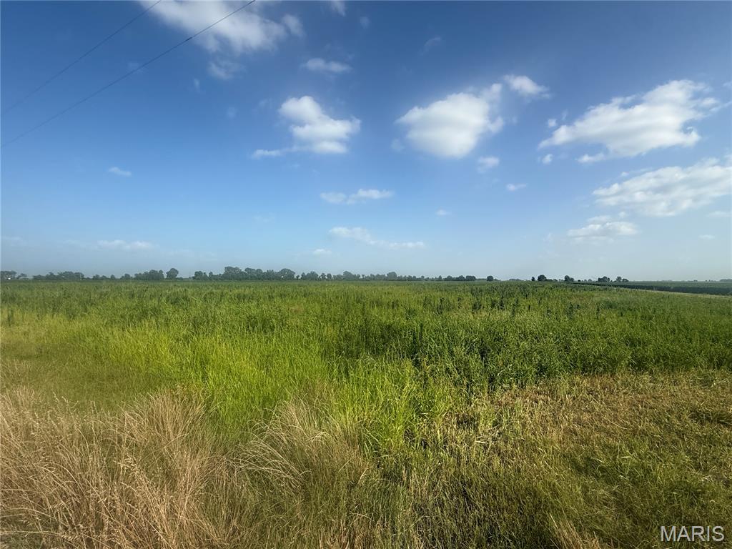 Farm/Ranch/Land for sale – 0  County Road 406   Hayti, MO