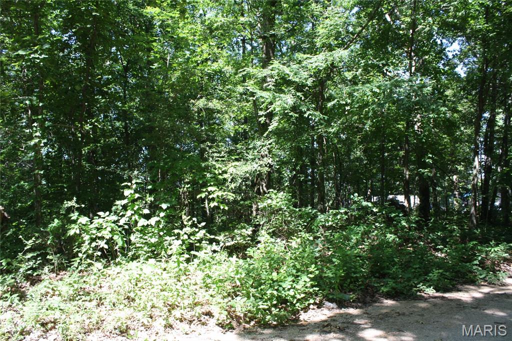 Farm/Ranch/Land for sale – 00 Lakview Drive Wappapello, MO