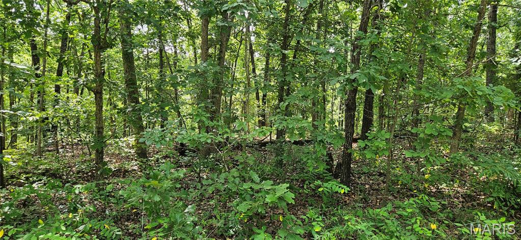 Farm/Ranch/Land for sale – 0 County Road 4050 Salem, MO