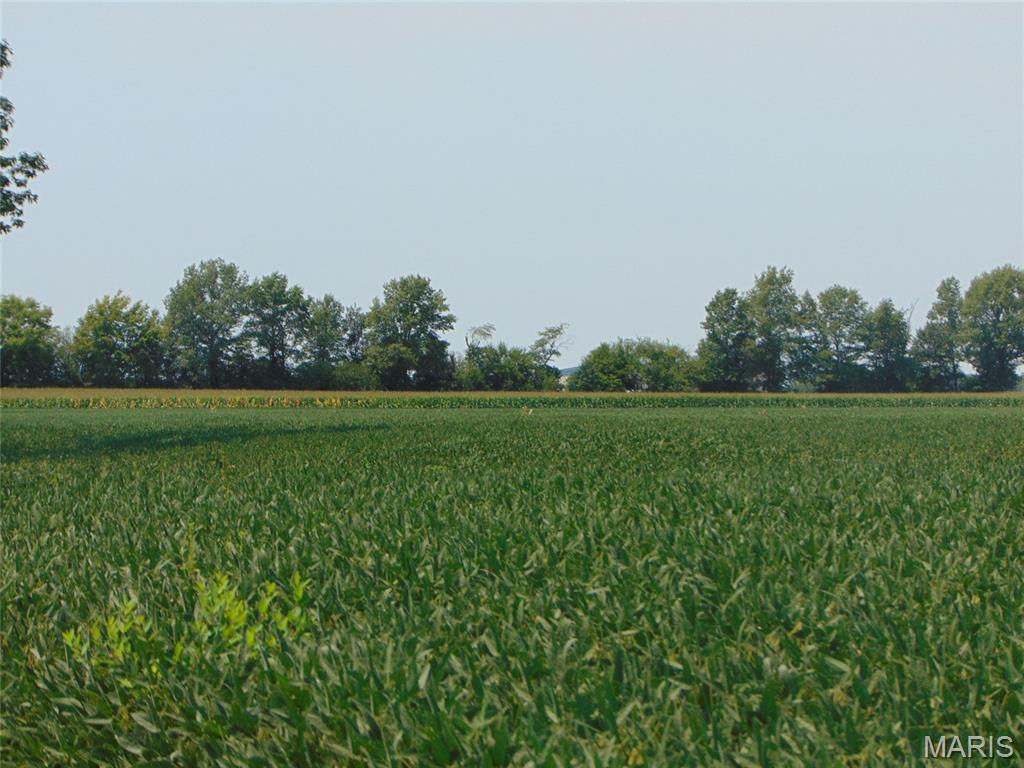 Farm/Ranch/Land for sale – 0000 State Route 14 Duquoin, IL
