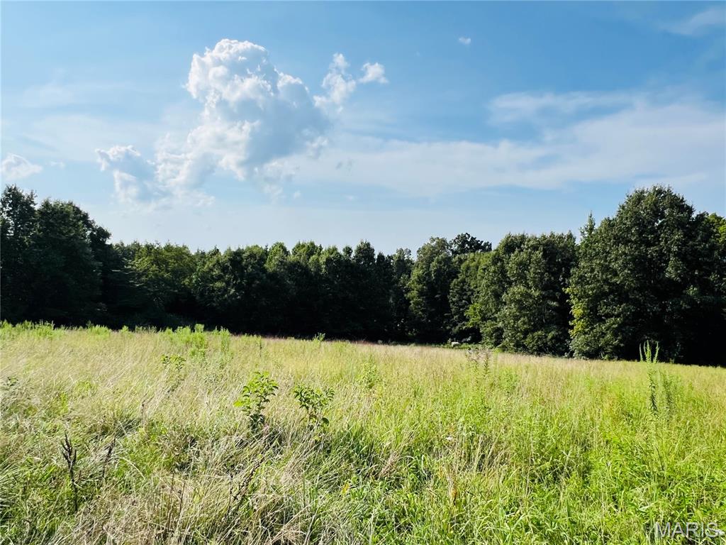 Farm/Ranch/Land for sale – 0 County Road 646 Advance, MO