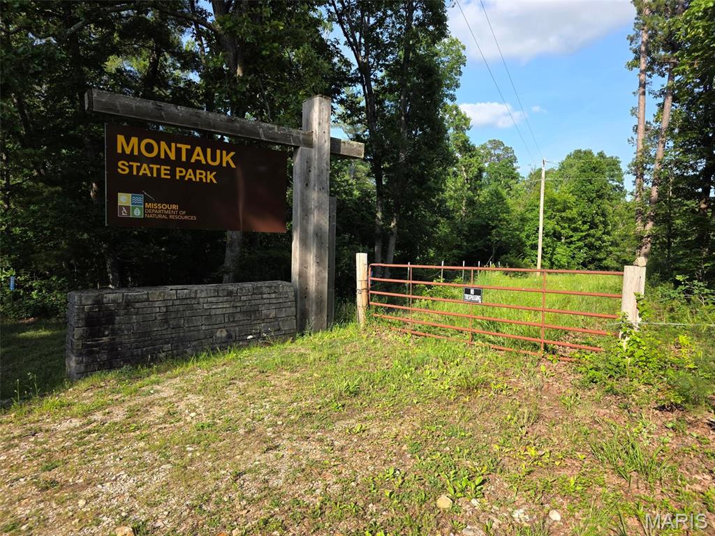 Farm/Ranch/Land for sale – TBD  Highway 119   Salem, MO