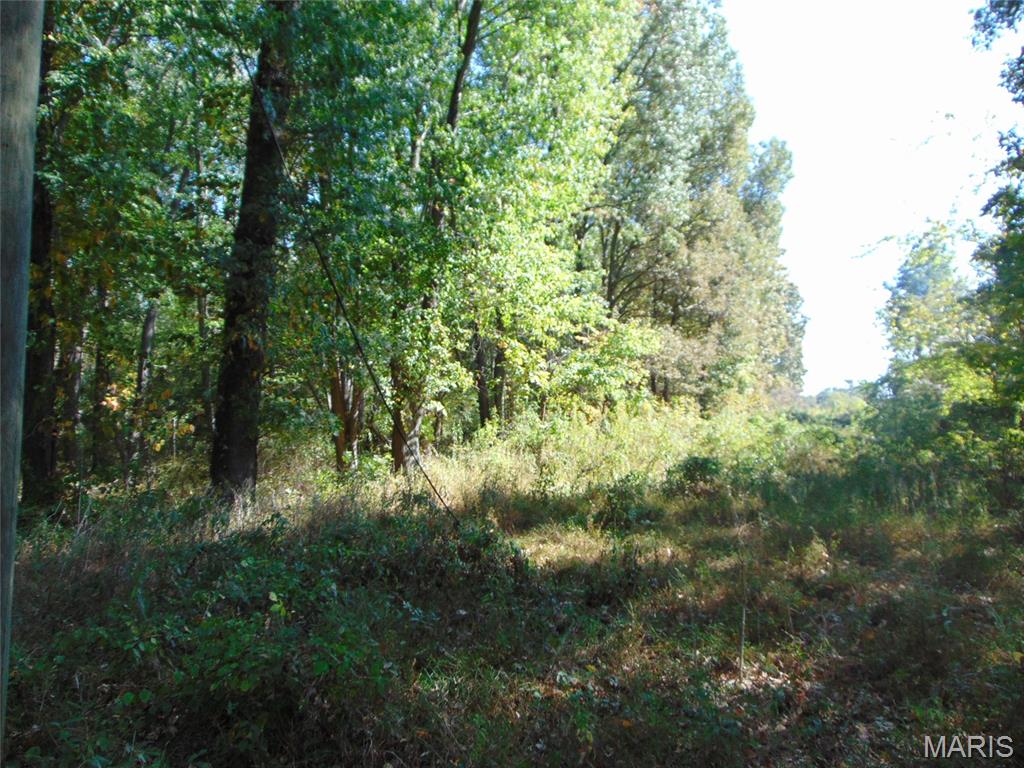 Listing 593244