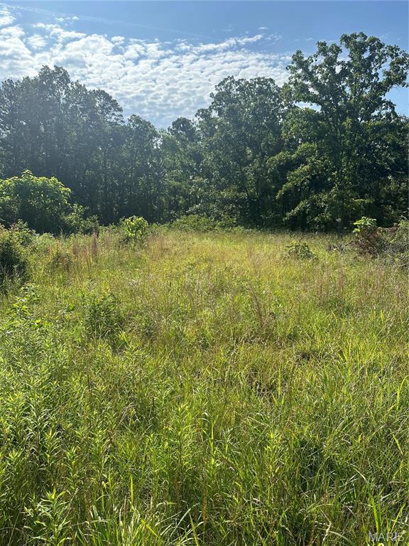 Farm/Ranch/Land for sale – 21  Hwy 21 N   Doniphan, MO