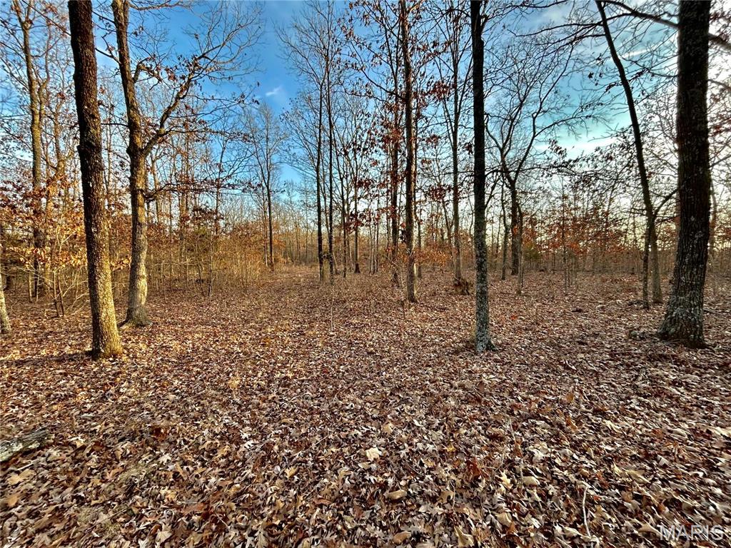 Farm/Ranch/Land for sale – TBD  Tract 1 Highway CC   Salem, MO