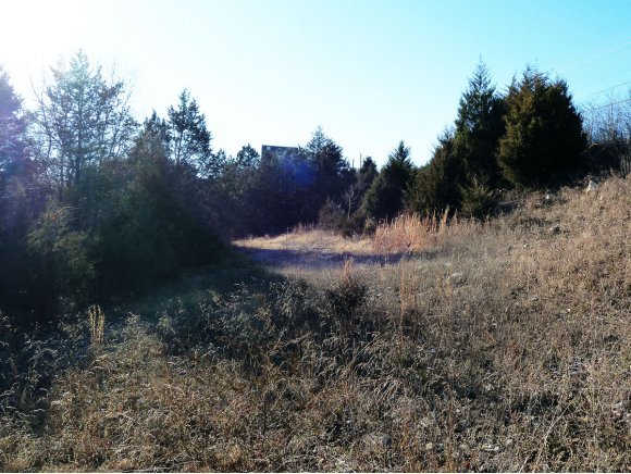 Photo 8 - Land for sale – 2800  Gretna Road  Branson, MO