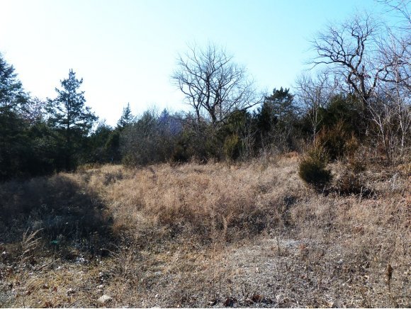 Photo 9 - Land for sale – 2800  Gretna Road  Branson, MO
