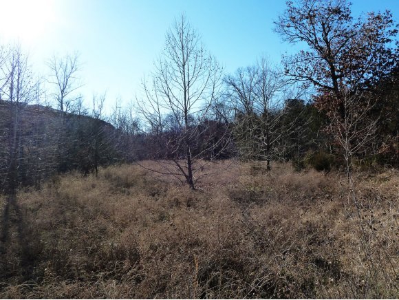 Photo 11 - Land for sale – 2800  Gretna Road  Branson, MO