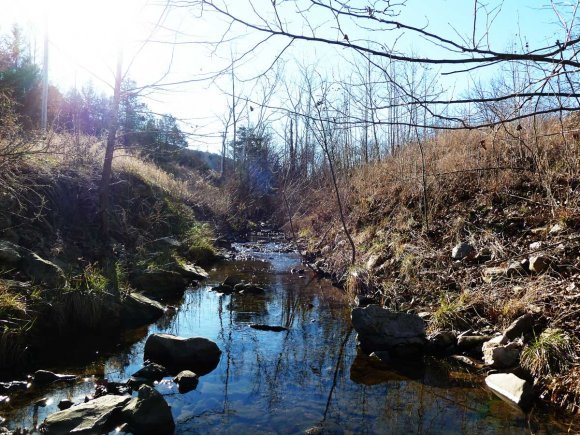 Photo 12 - Land for sale – 2800  Gretna Road  Branson, MO