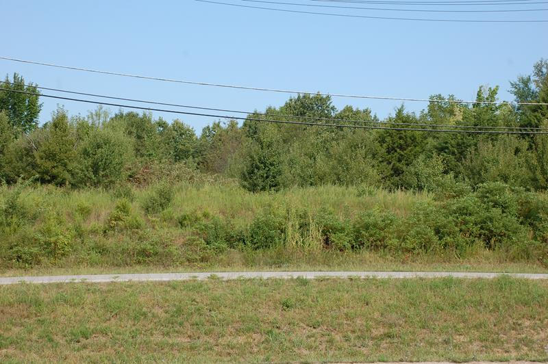 Photo 6 - Land for sale – 999  Preacher Roe Boulevard   West Plains, MO