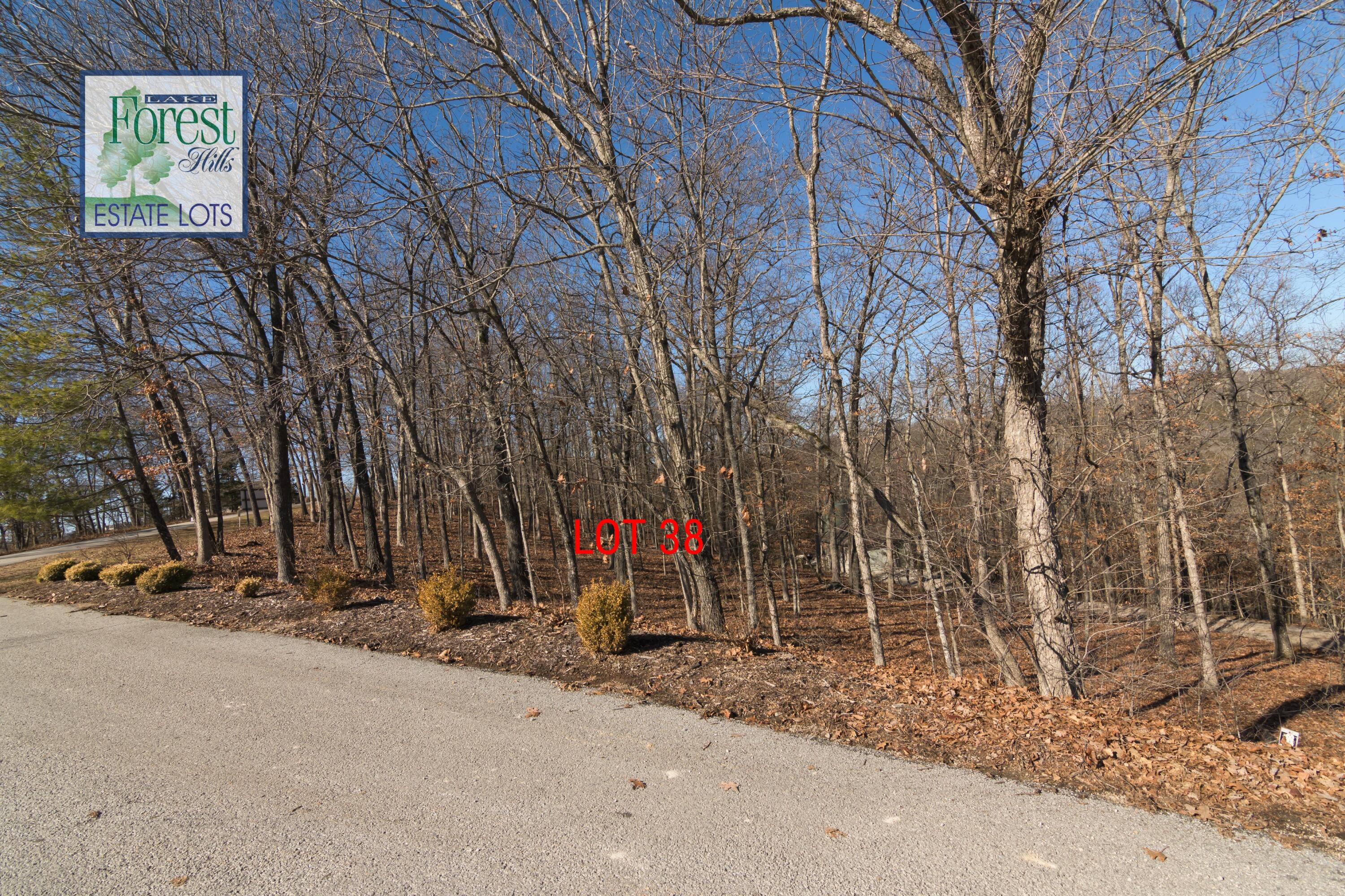 Photo 5 - Land for sale – Lot 38  Waterfield Drive  Branson West, MO