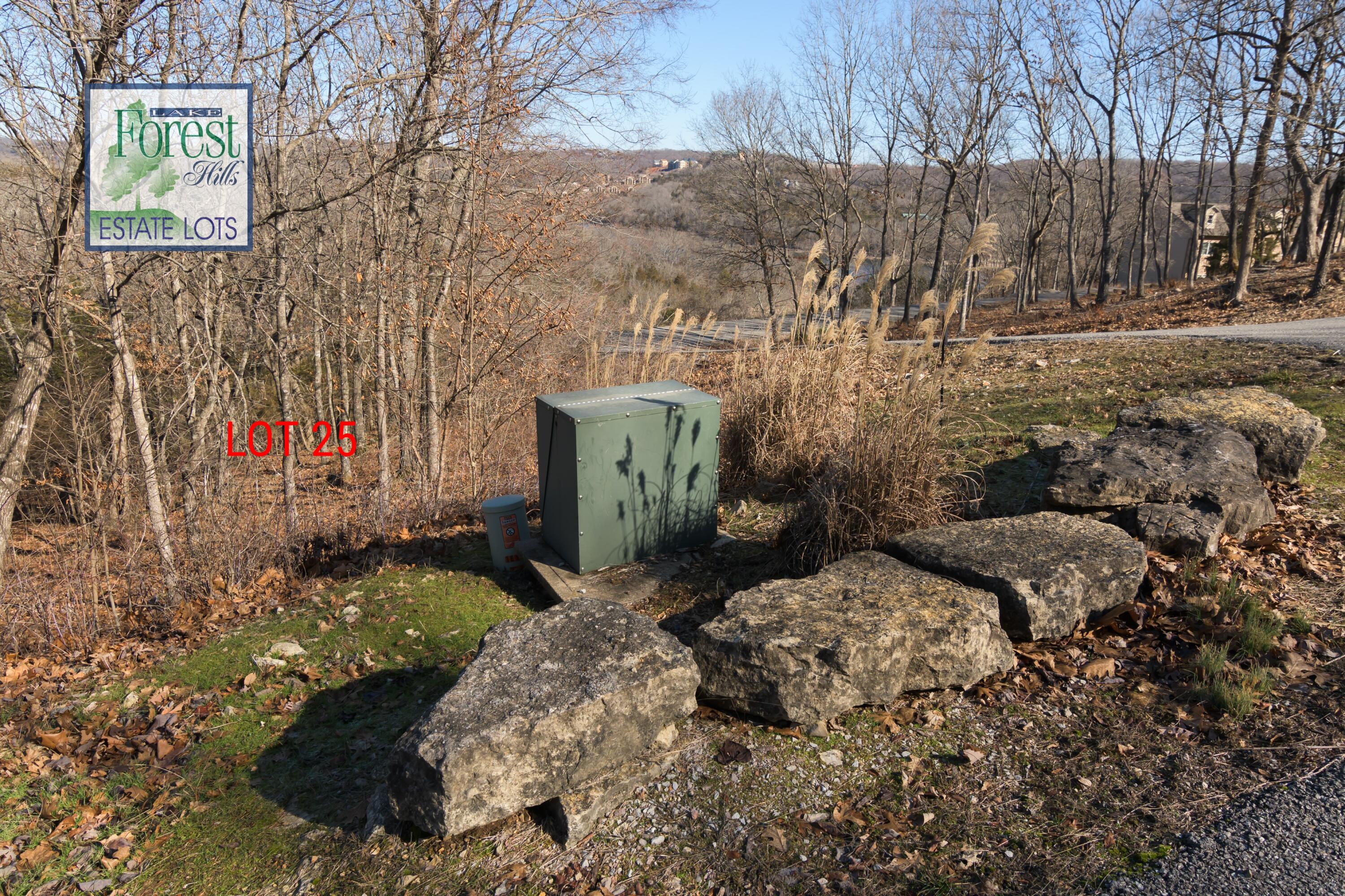 Photo 3 - Land for sale – Lot 25  Trail New Lane  Branson West, MO