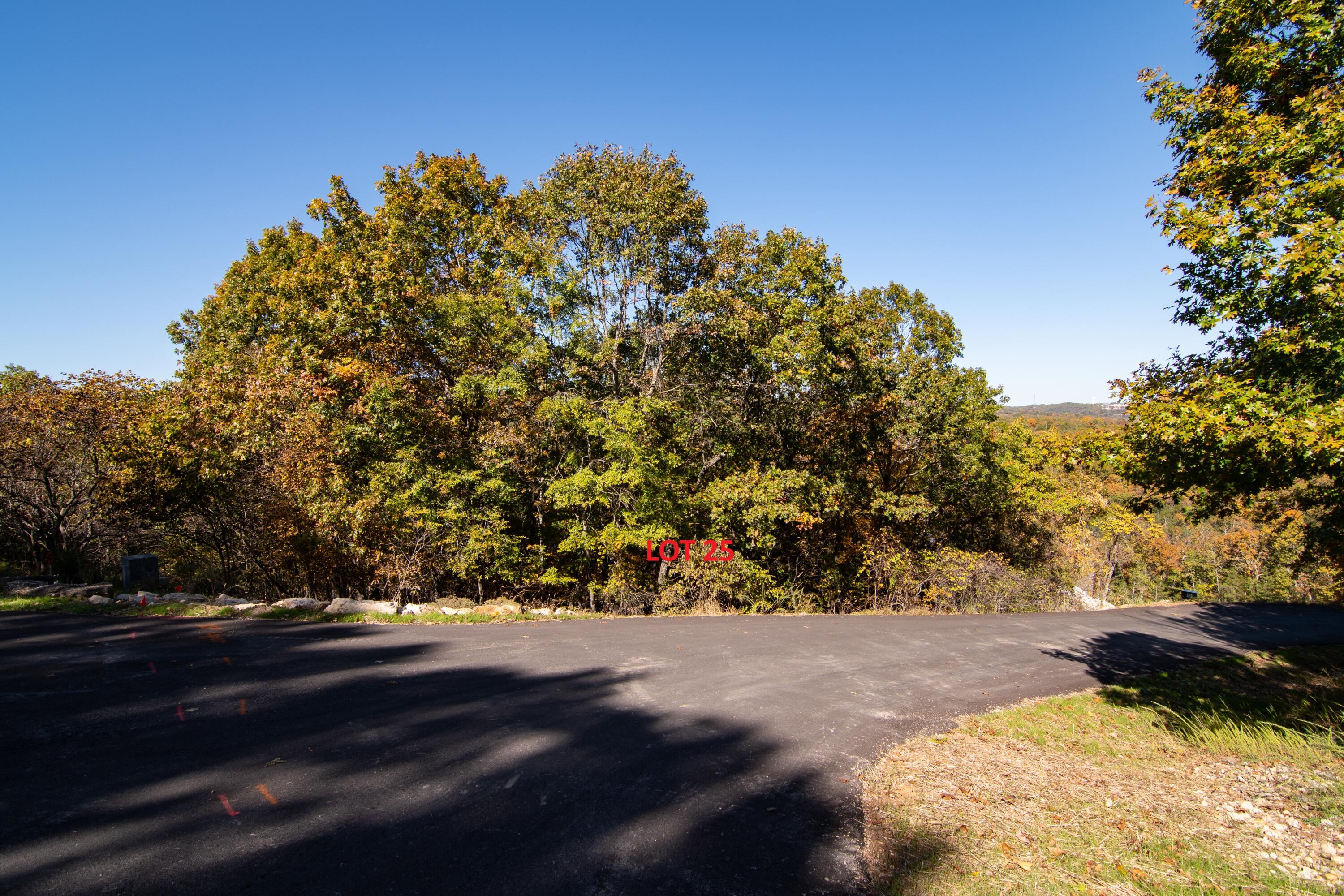 Photo 4 - Land for sale – Lot 25  Trail New Lane  Branson West, MO