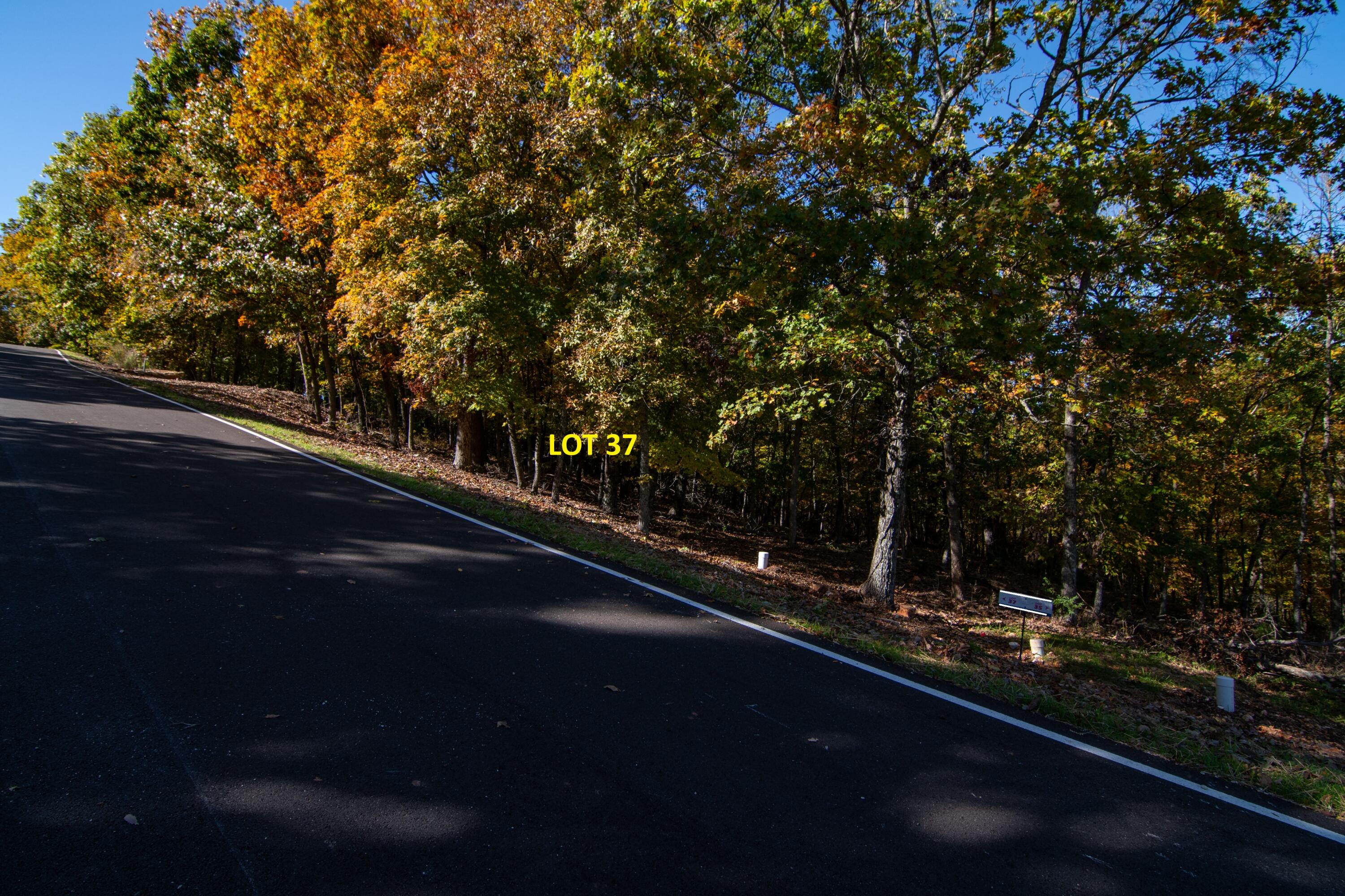 Photo 6 - Land for sale – Lot 37  Canada Drive  Branson West, MO