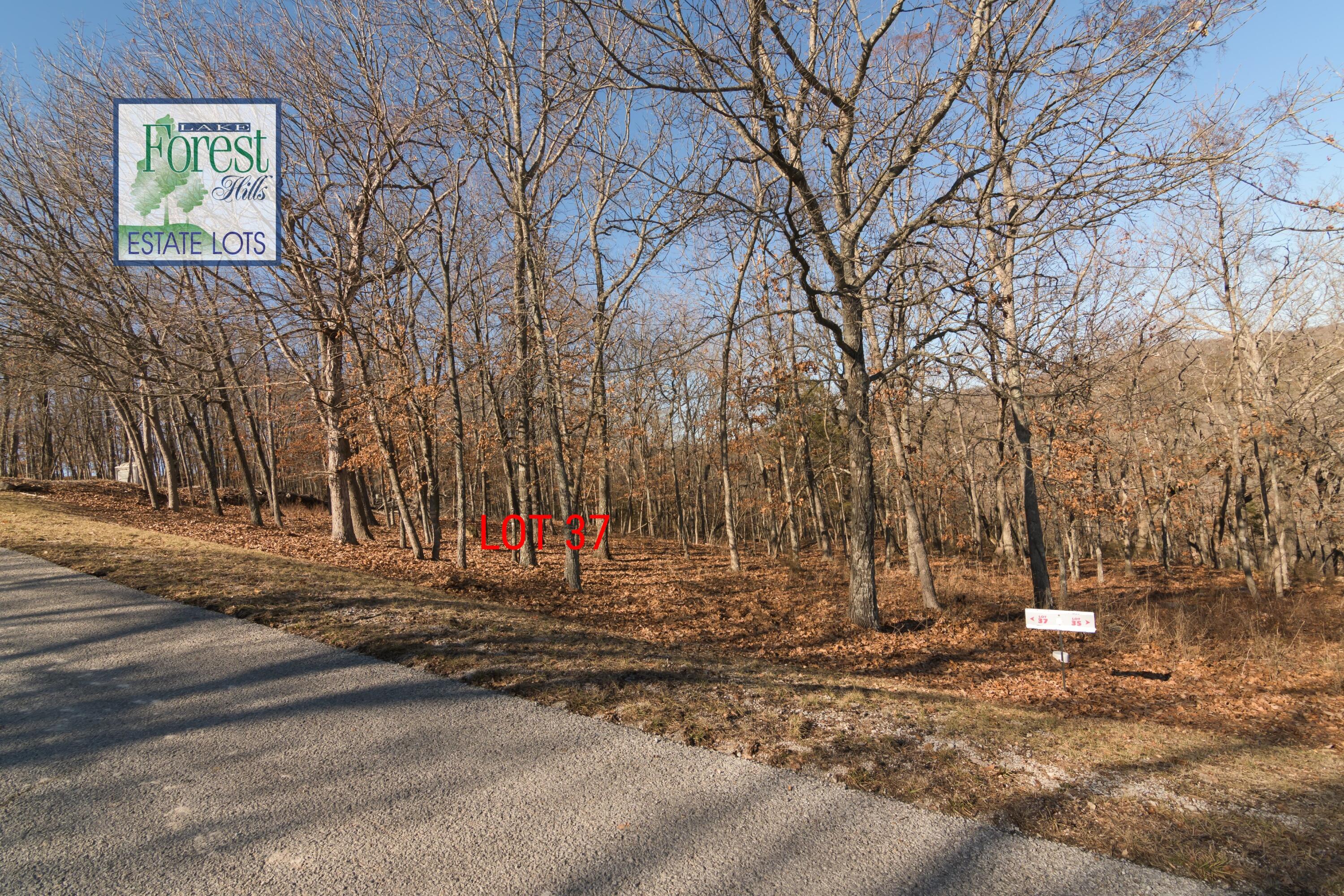 Photo 5 - Land for sale – Lot 37  Canada Drive  Branson West, MO
