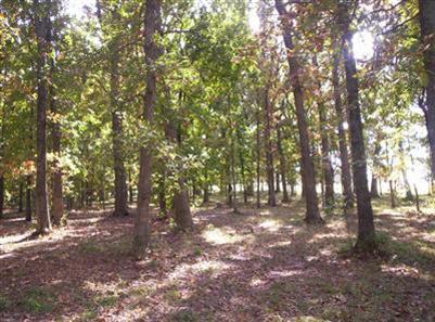 Photo 3 - Land for sale – 900  Banning Street  Marshfield, MO