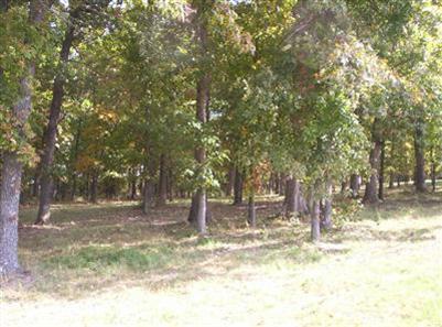 Photo 4 - Land for sale – 900  Banning Street  Marshfield, MO