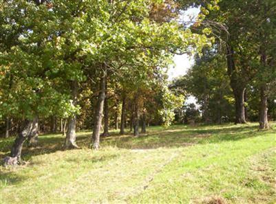 Photo 2 - Land for sale – 900  Banning Street  Marshfield, MO