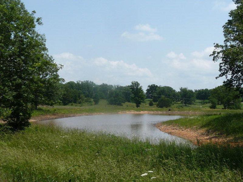 Photo 6 - Land for sale – 000  The Timbers   West Plains, MO