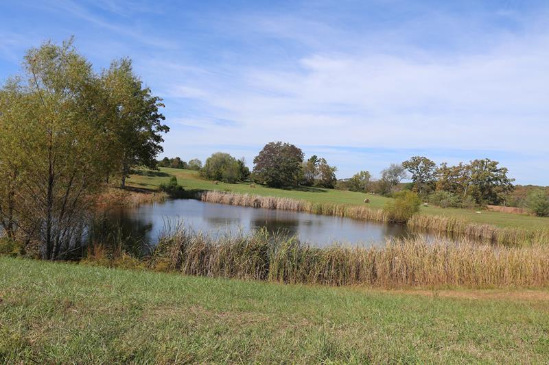 Photo 3 - Land for sale – 000  The Timbers   West Plains, MO