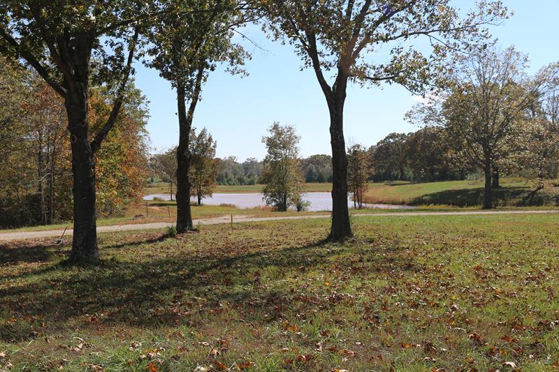 Photo 7 - Land for sale – 000  The Timbers   West Plains, MO