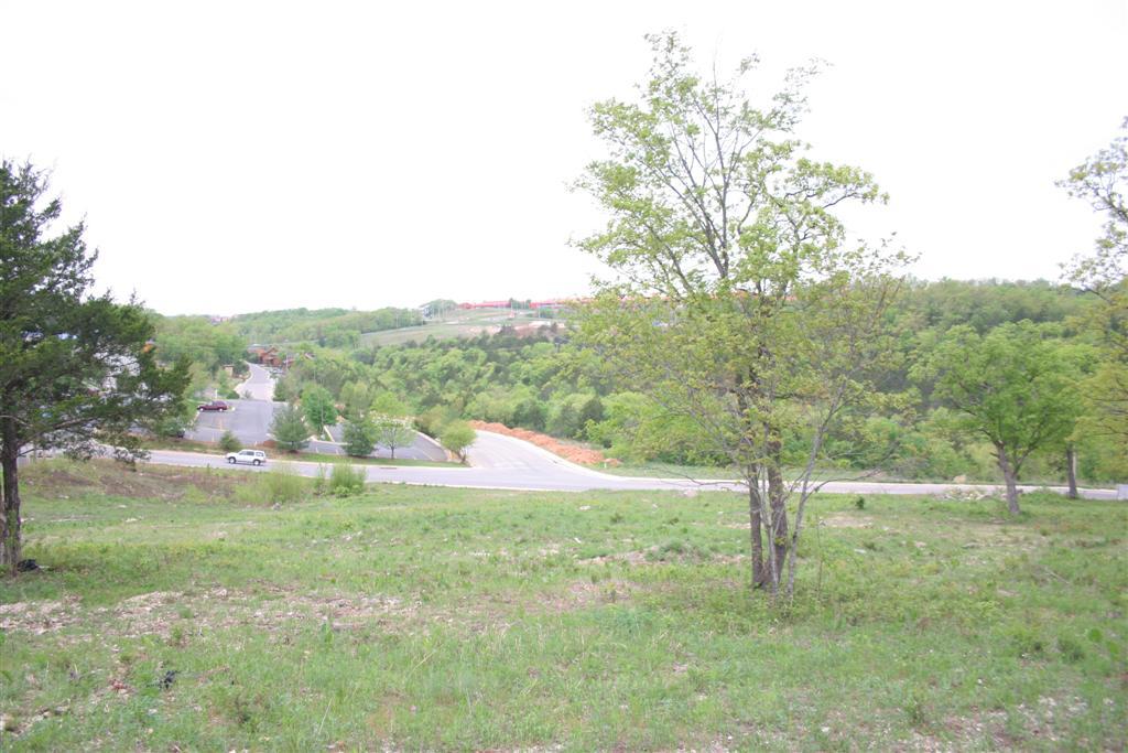 Photo 3 - Land for sale – Lot 6  Wildwood Drive  Branson, MO