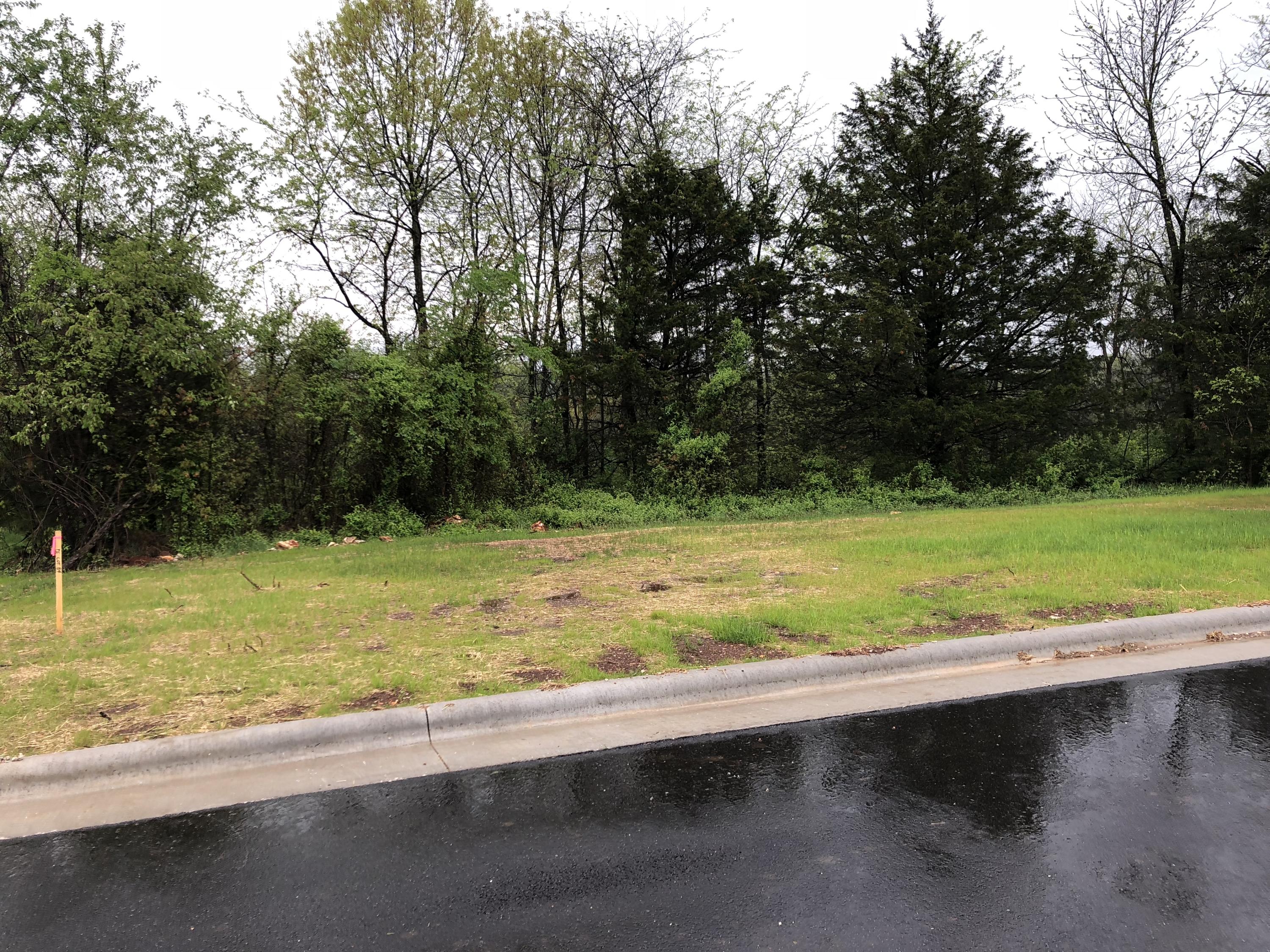 Photo 11 - Land for sale – Lot 94  Cypress Point   Springfield, MO