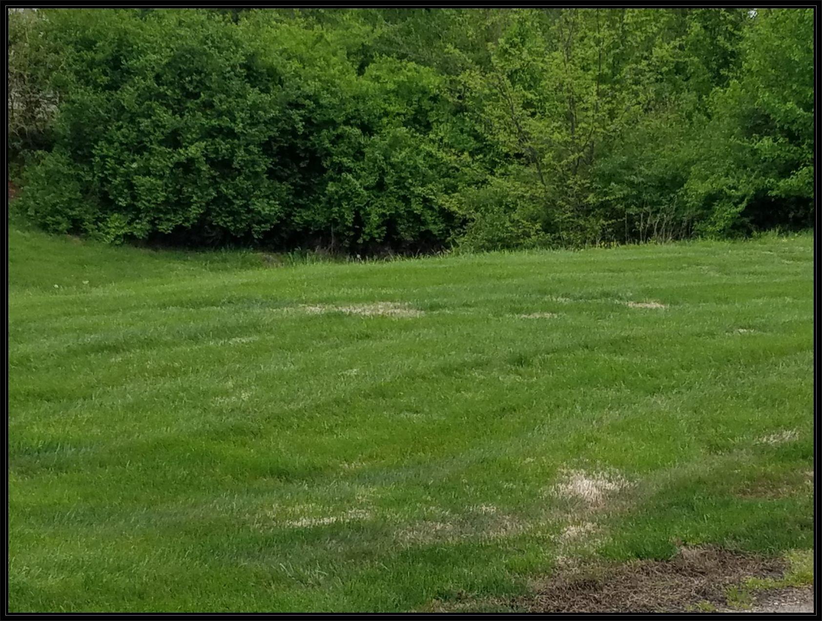 Photo 13 - Land for sale – Lot 95  Cypress Point   Springfield, MO