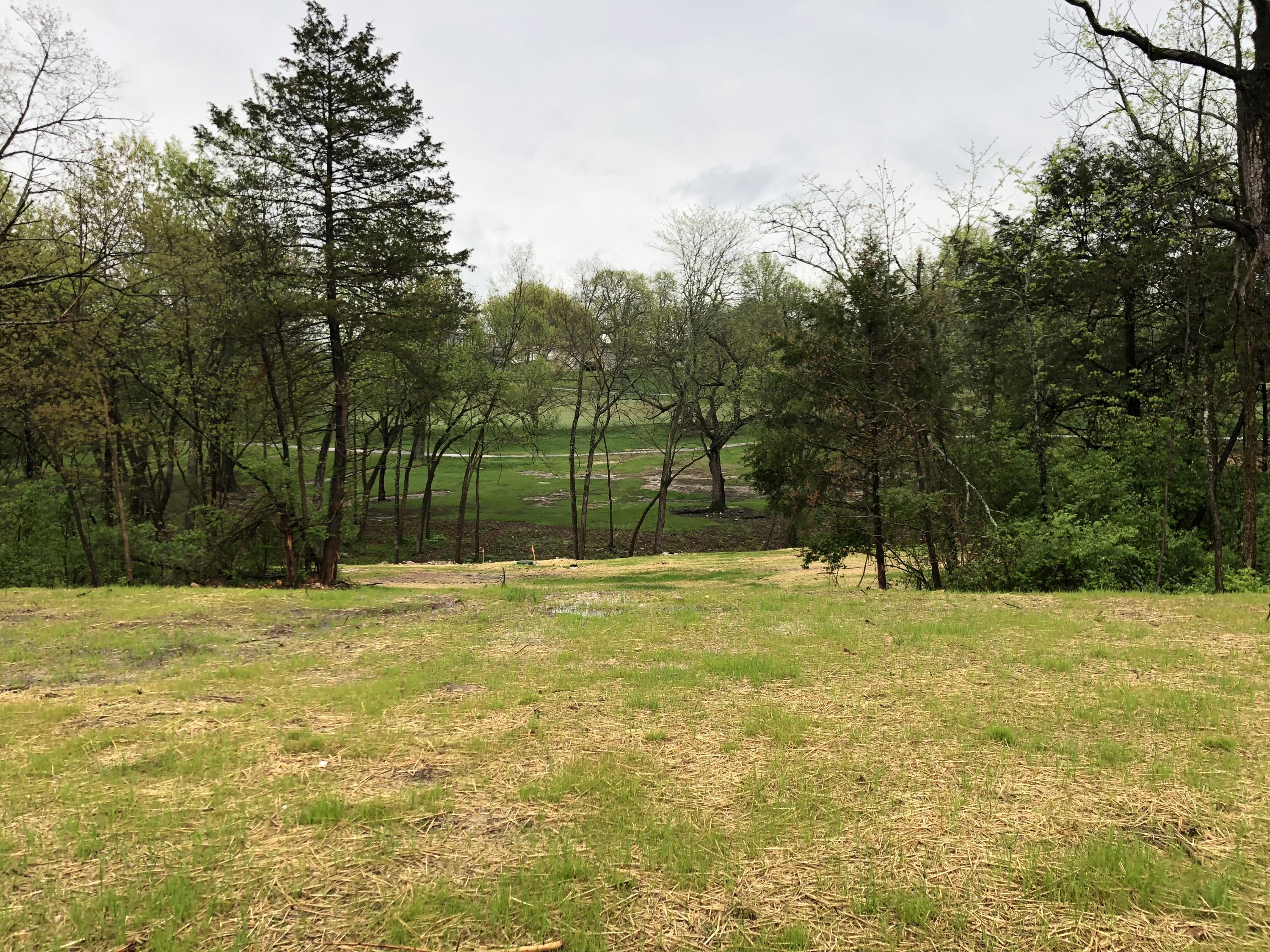 Photo 9 - Land for sale – Lot 97  Cypress Point   Springfield, MO