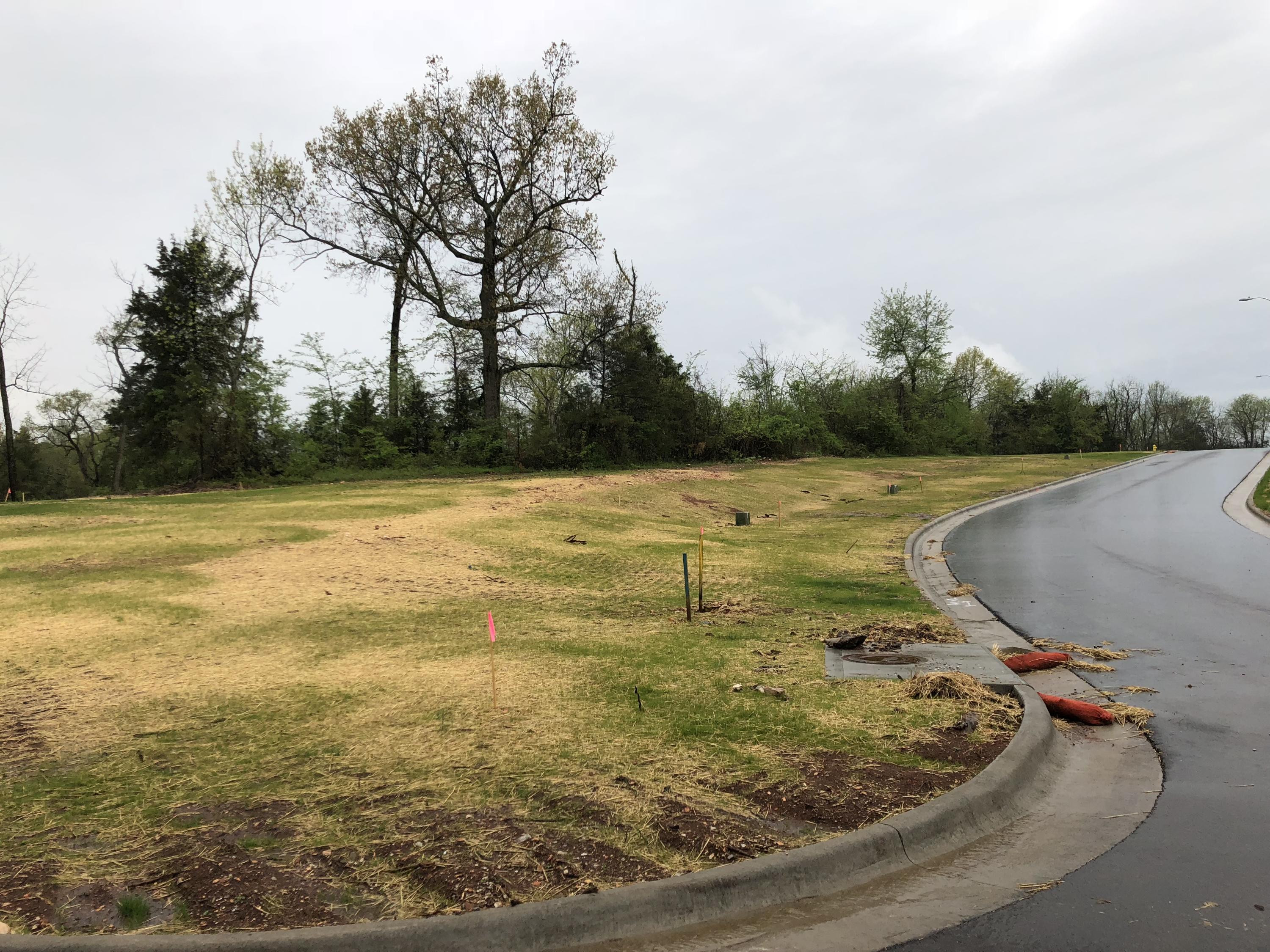 Photo 4 - Land for sale – Lot 97  Cypress Point   Springfield, MO