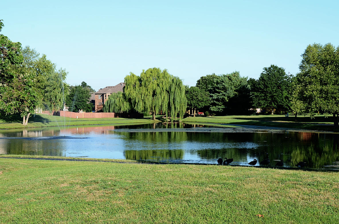 Photo 13 - Land for sale – Lot 24  Bentwater Phase 3   Nixa, MO