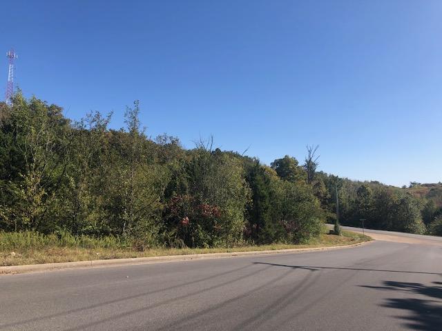 Photo 2 - Land for sale – Tbd  Kentucky Avenue  West Plains, MO