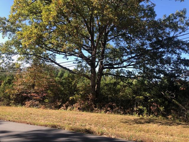 Photo 7 - Land for sale – Tbd  Kentucky Avenue  West Plains, MO