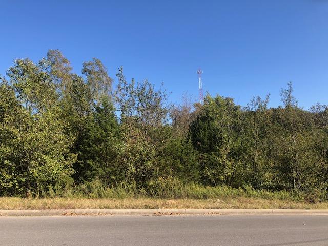 Photo 3 - Land for sale – Tbd  Kentucky Avenue  West Plains, MO