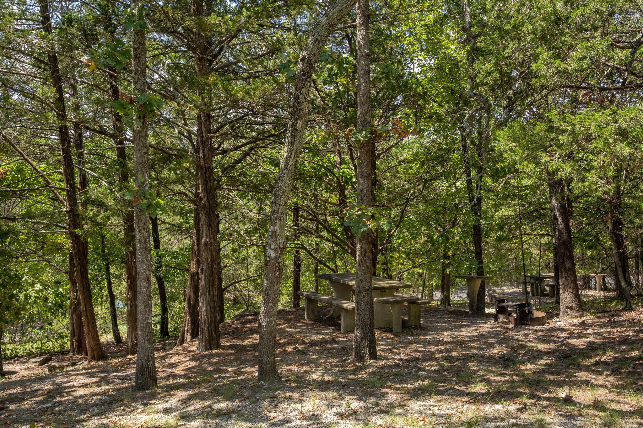 Photo 72 - Land for sale – Lot 37  Canyon Estates   Branson, MO