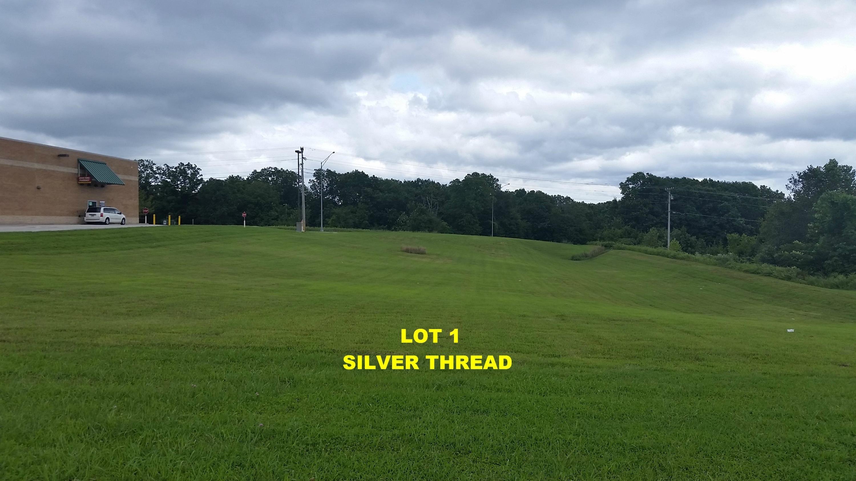 Photo 4 - Commercial Sale for sale – 18300  Business 13   Branson West, MO